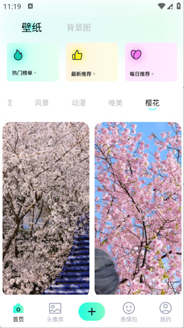 西西壁纸大全最新版