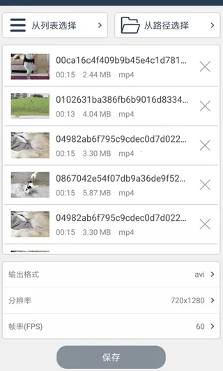 格式大师手机版