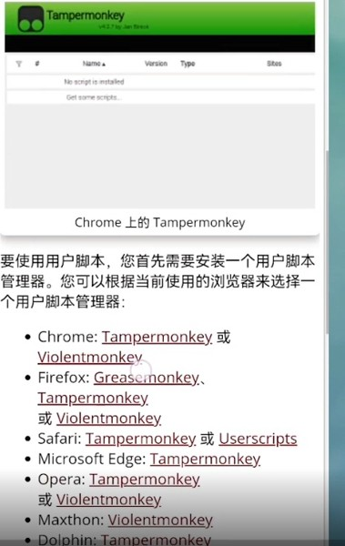 Via浏览器图片15