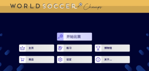 世界足球冠军