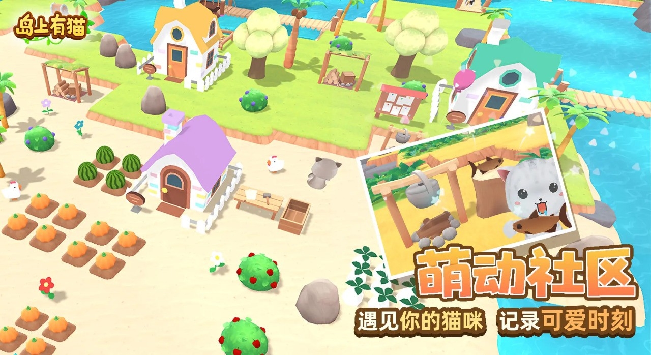 岛上有猫官方版下载 v1.0.0