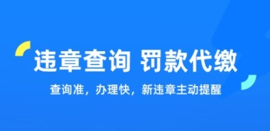 车行易查违章app1