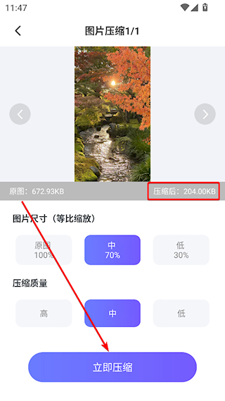 彩豆橡皮擦