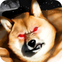 肌肉柴犬最新版  V1.15下载