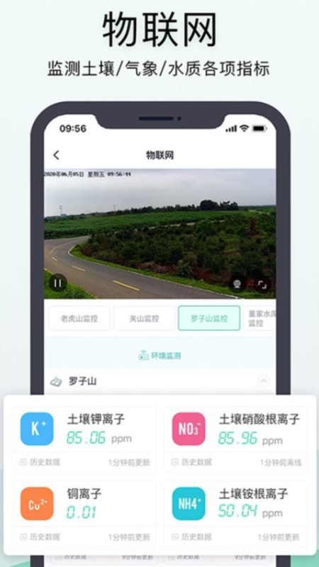 神农口袋2