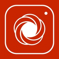 北极花生物调查