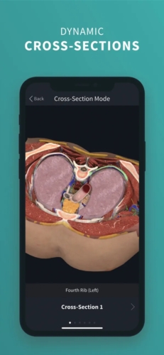 completeanatomy中文版亮点1