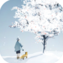 忘雪中文版  V1.3.1下载