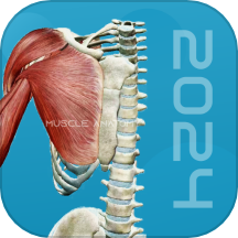 3D肌肉解剖App手机版  V1.5下载