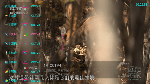 电视+6高清免费版