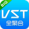 vst全聚合