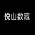 悦山数藏app手机版 
