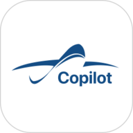AirOperationCopilot