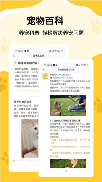 养宠记2