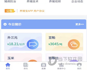 养猪宝如何学习养猪技术