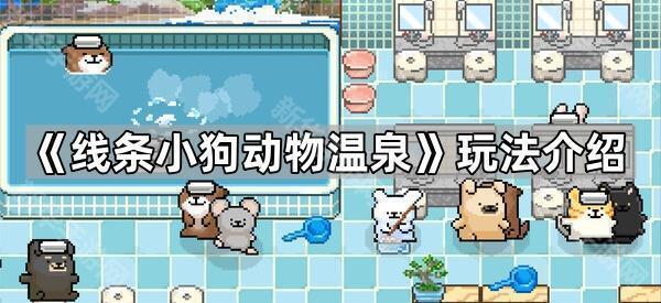 线条小狗动物温泉玩法介绍