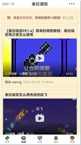 泰拉酒馆2