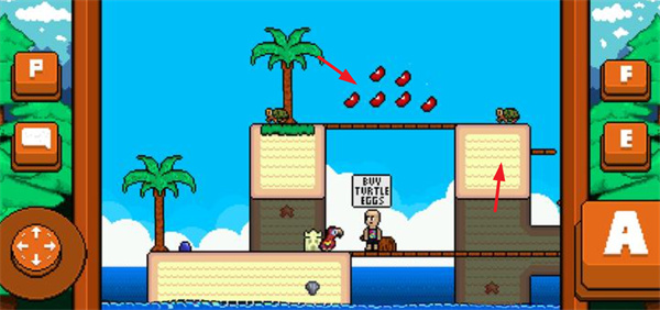 最后的金刚鹦鹉