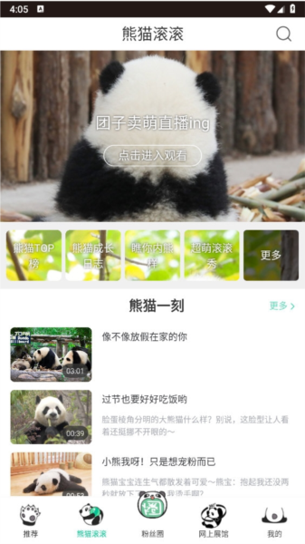 熊猫频道1