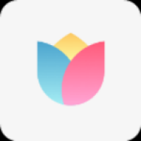 小米画报最新版本