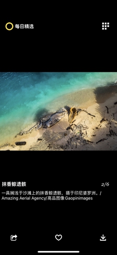 每日精选安卓版 v3.0.3