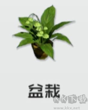 智能姬化