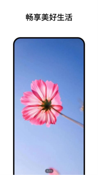 阅小花官方版 v1.1.0