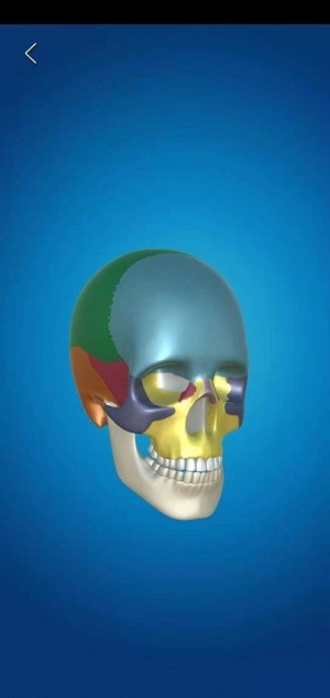 解剖学AR v0.1安卓版下载