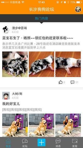 预览图3