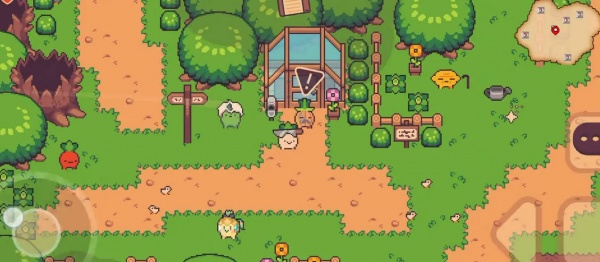 大头菜菜历险记