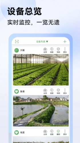 Seetong