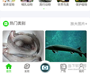 万物识别怎么拍照识别