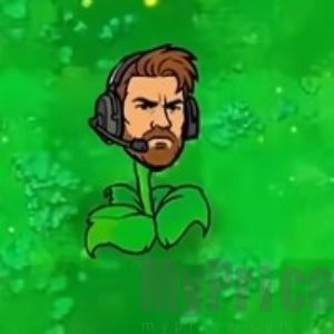 植物大战僵尸三角洲版