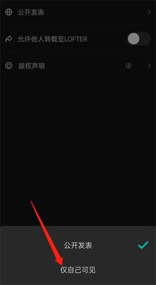 如何设置仅自己可见配图4