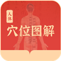 人体穴位图解移动端版下载