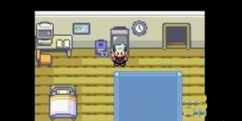 口袋妖怪究极绿宝石5.5金手指