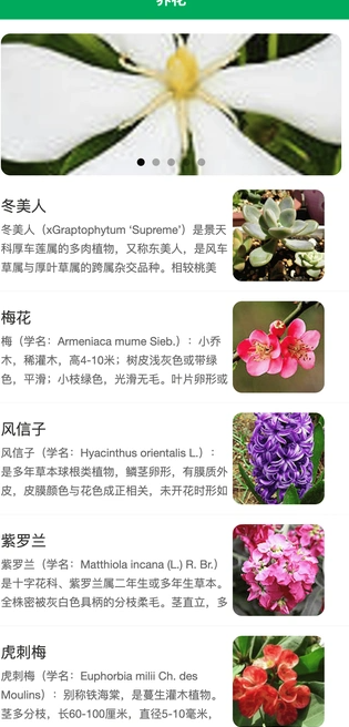小绿植物手机版 v1.0