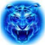 四虎影视2026新版 v3.1