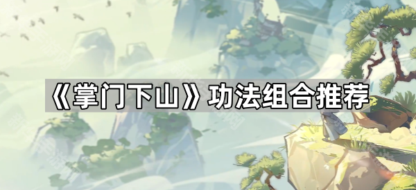 掌门下山功法组合推荐