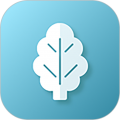 菠菜助手下载 v2.13.9