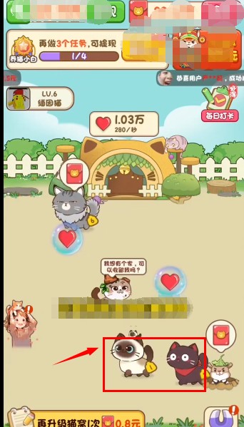 我家猫舍红包版6