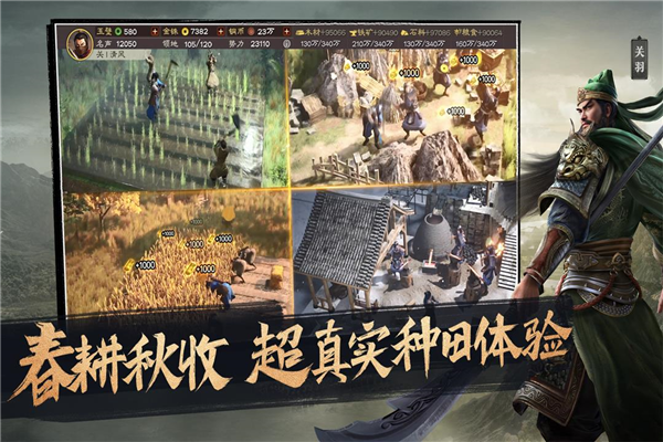 三国志战略版豌豆荚客户端2