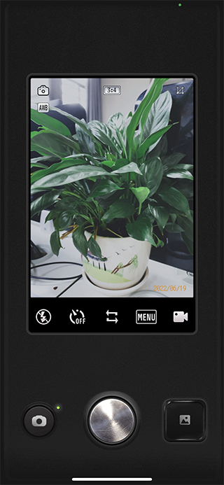 ProCCD复古CCD相机