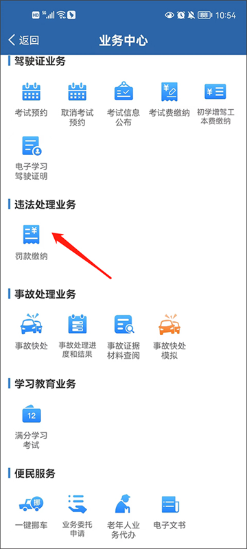 违章查询截图2