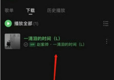 怎么设置成铃声截图1