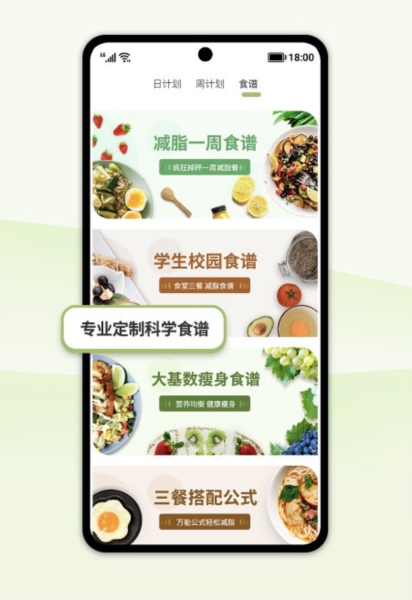 懒人轻断食3