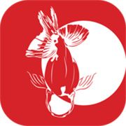 寻鱼直播app安卓直播平台