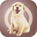 人狗交流器app v2.0.9