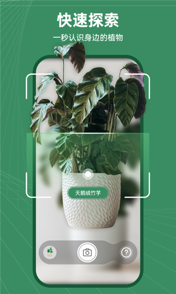 花草志最新版 v1.0.3