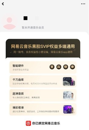 没有会员吗3